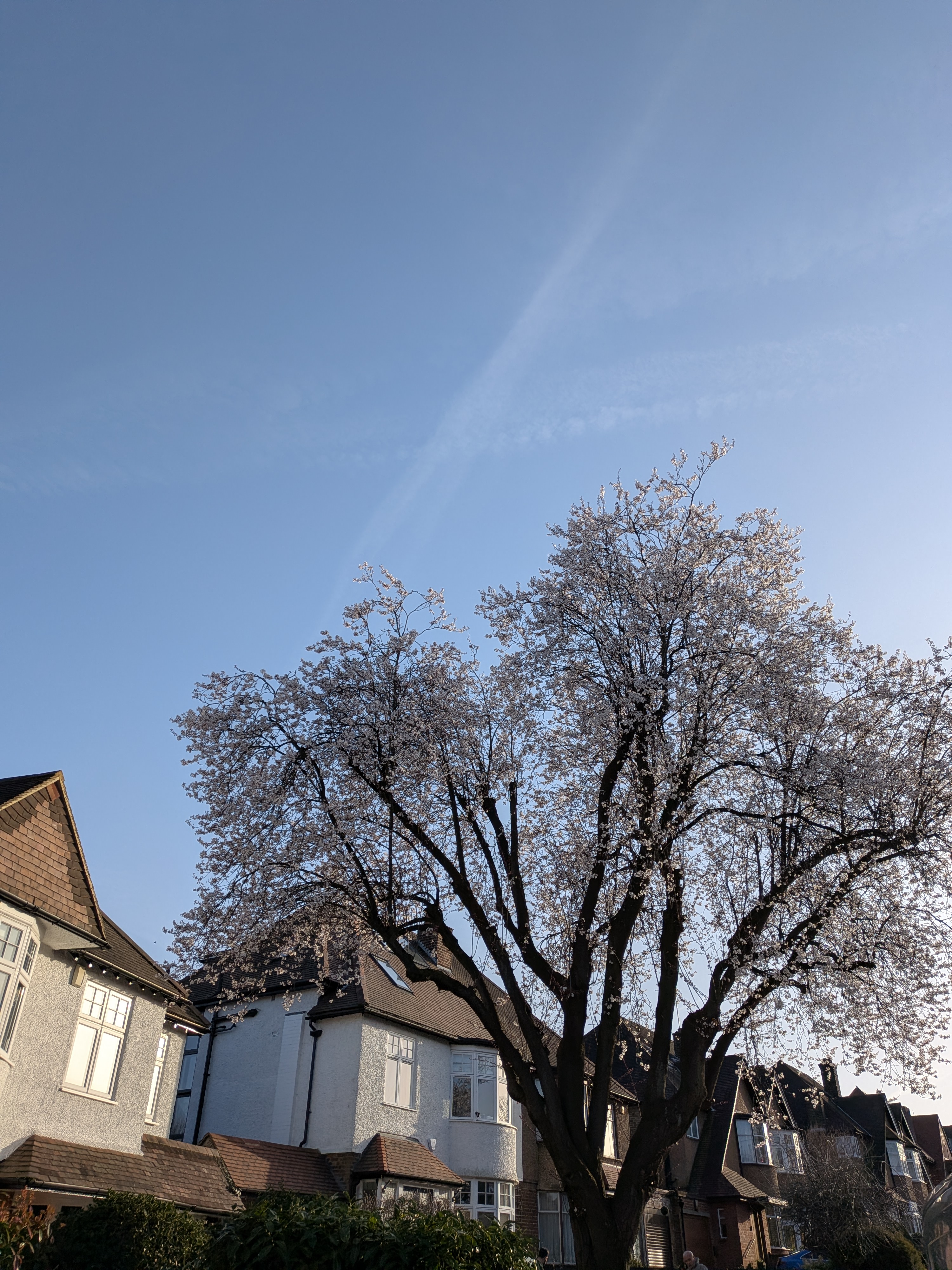 UK House price prediction – February 2026