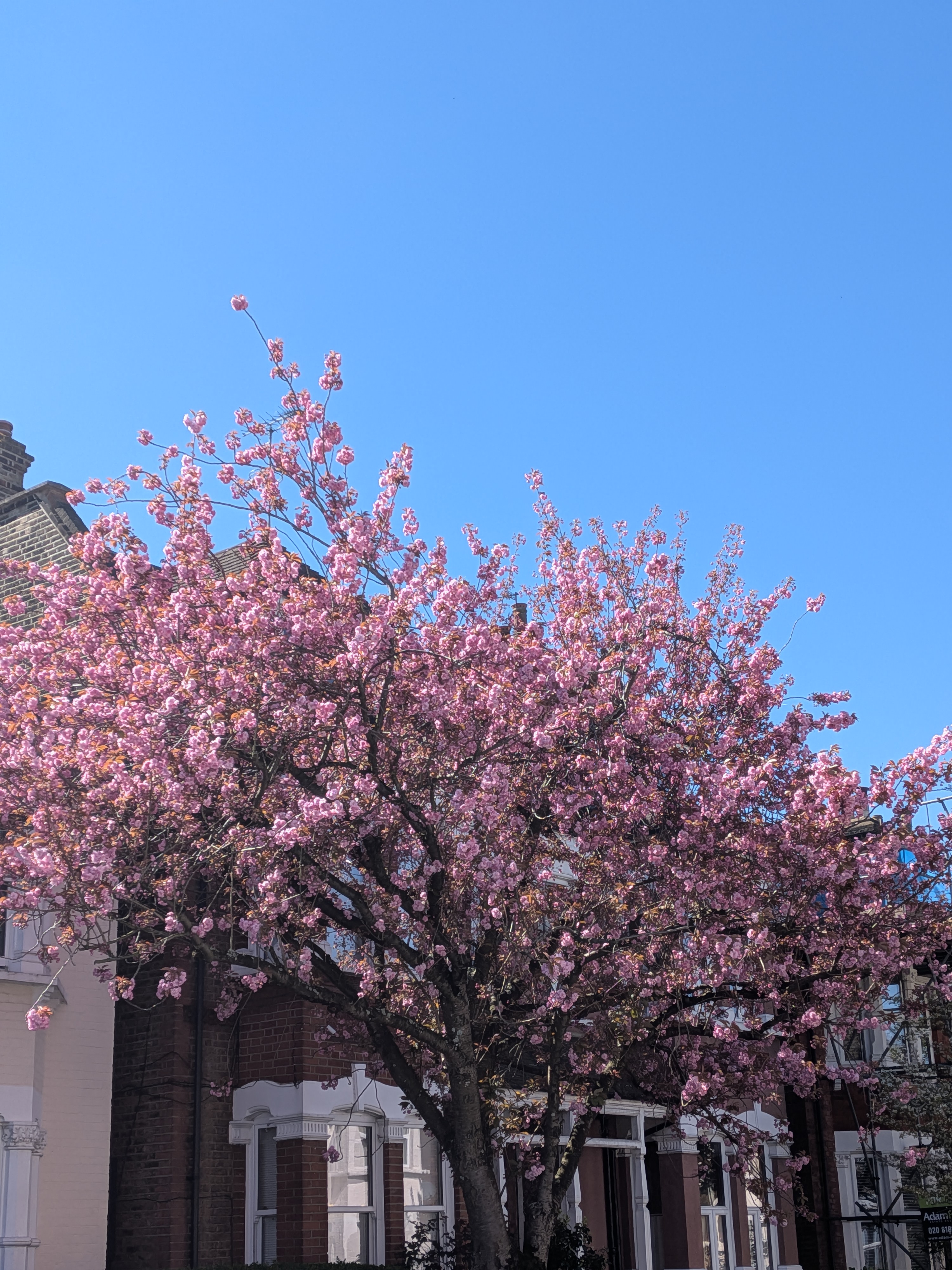 UK House price prediction – April 2026